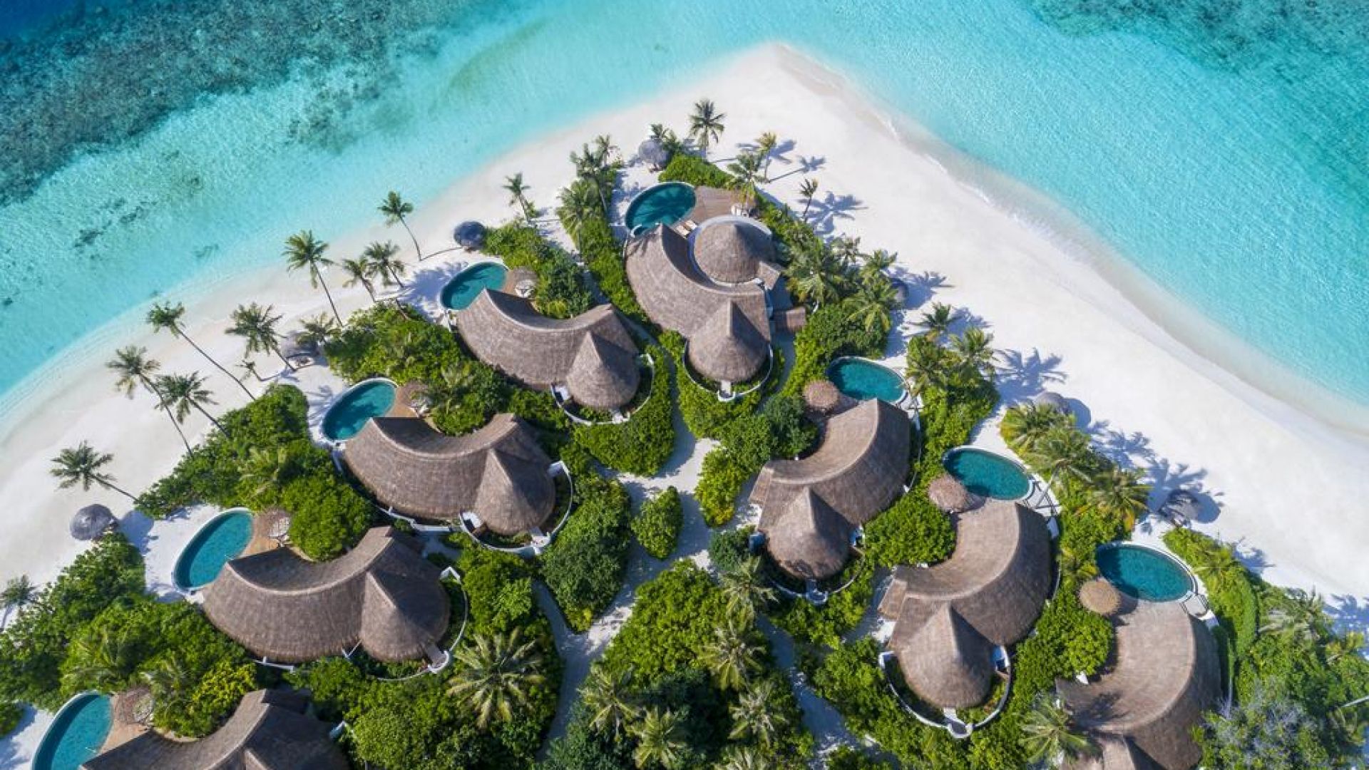 ミレイドホーモルディブ