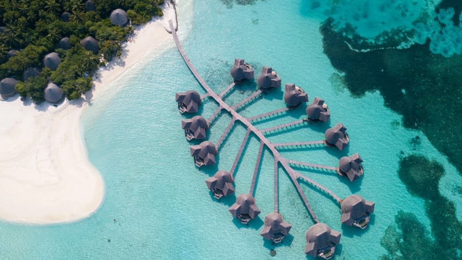 Coco Palm Dhunikolhu&nbsp;