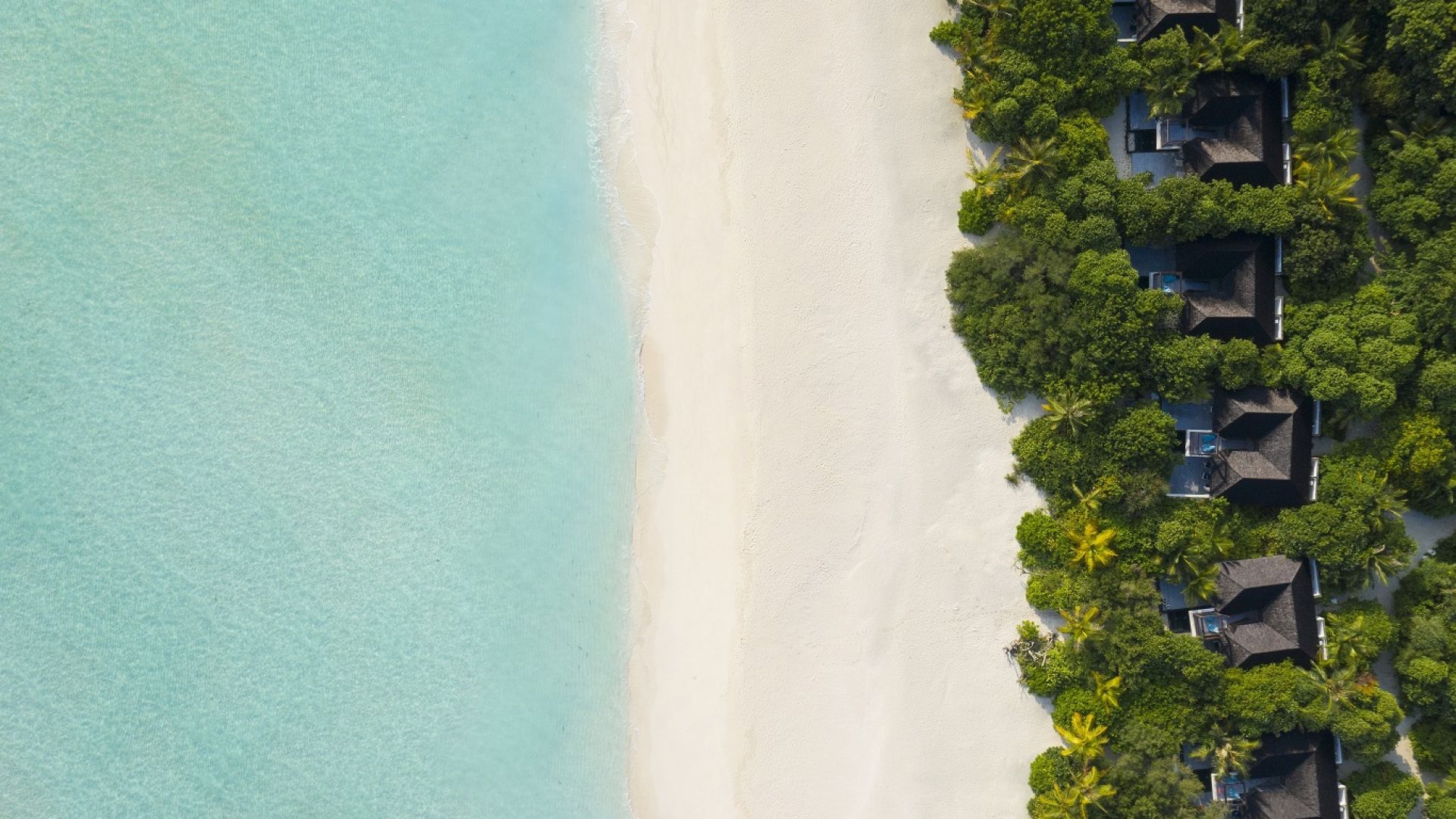 Mӧvenpick Resort Kuredhivaru Maldives