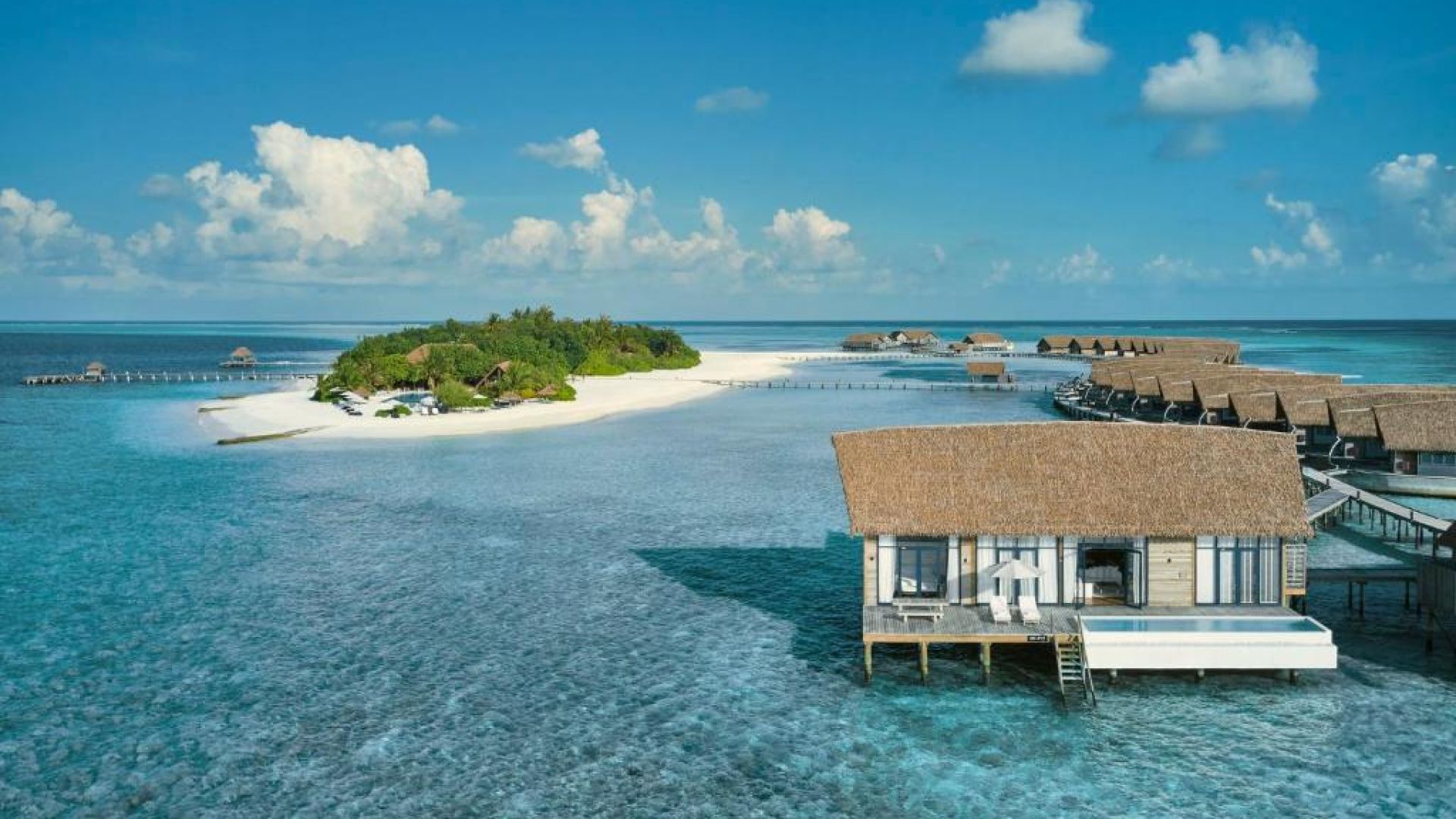 Comme Cocoa Island