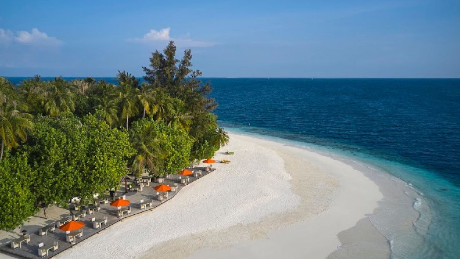 アンサナ・イフル