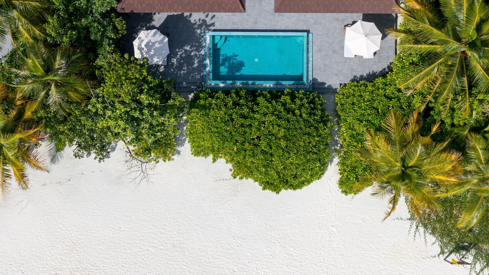 スタンダードモルディブ