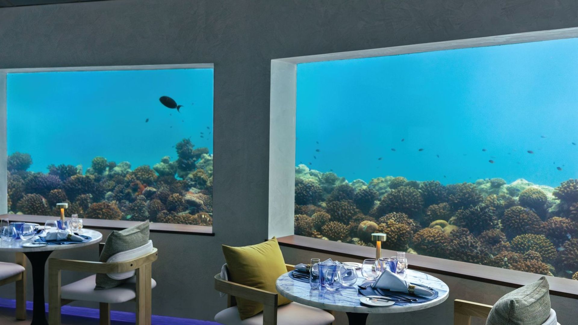 OBLU SELECT Lobigili