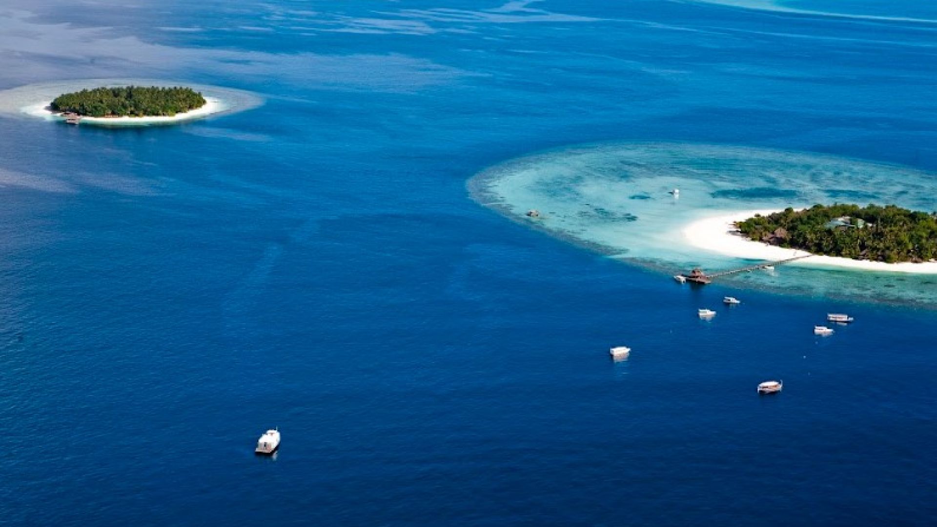 Banyantree Vabbinfaru