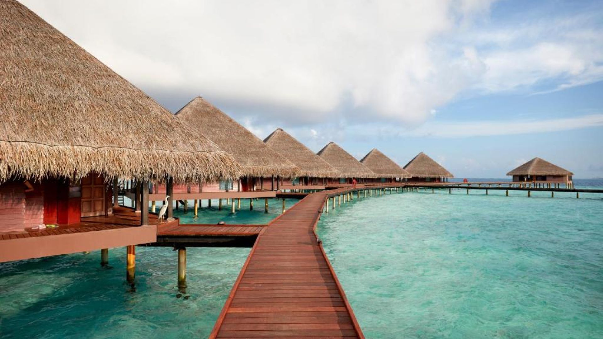 アダランクラブラナオルヒ