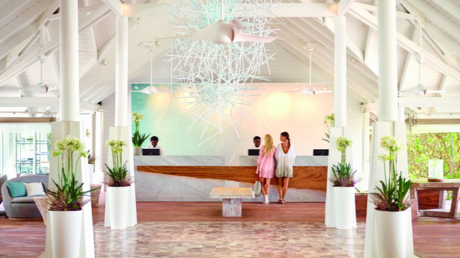 ラックスサウスアリア環礁