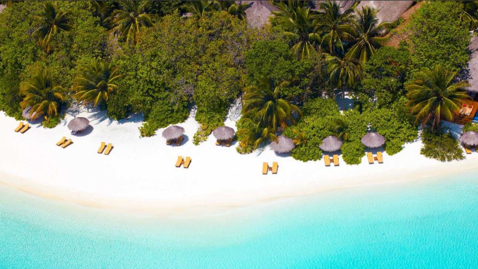 バロスモルディブ