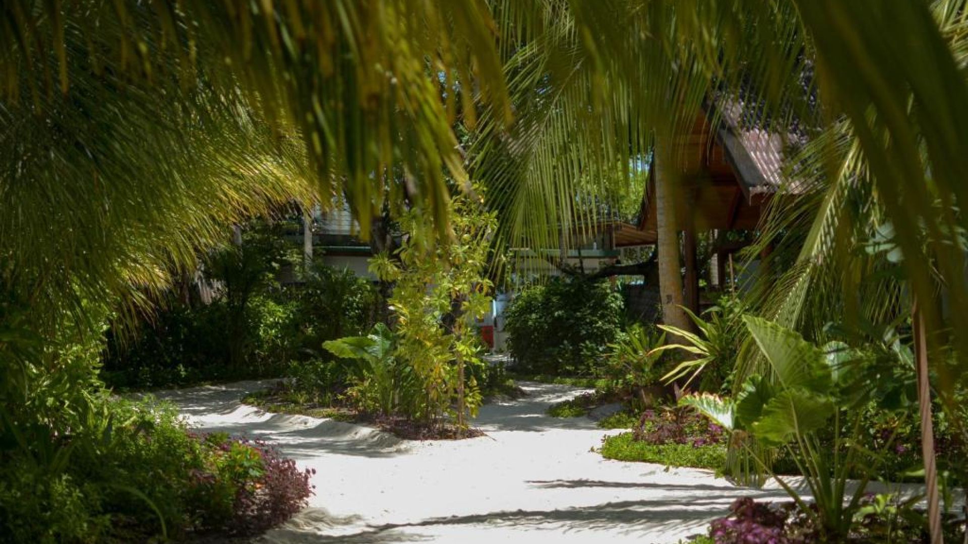 Malahini Kuda Bandos Resort