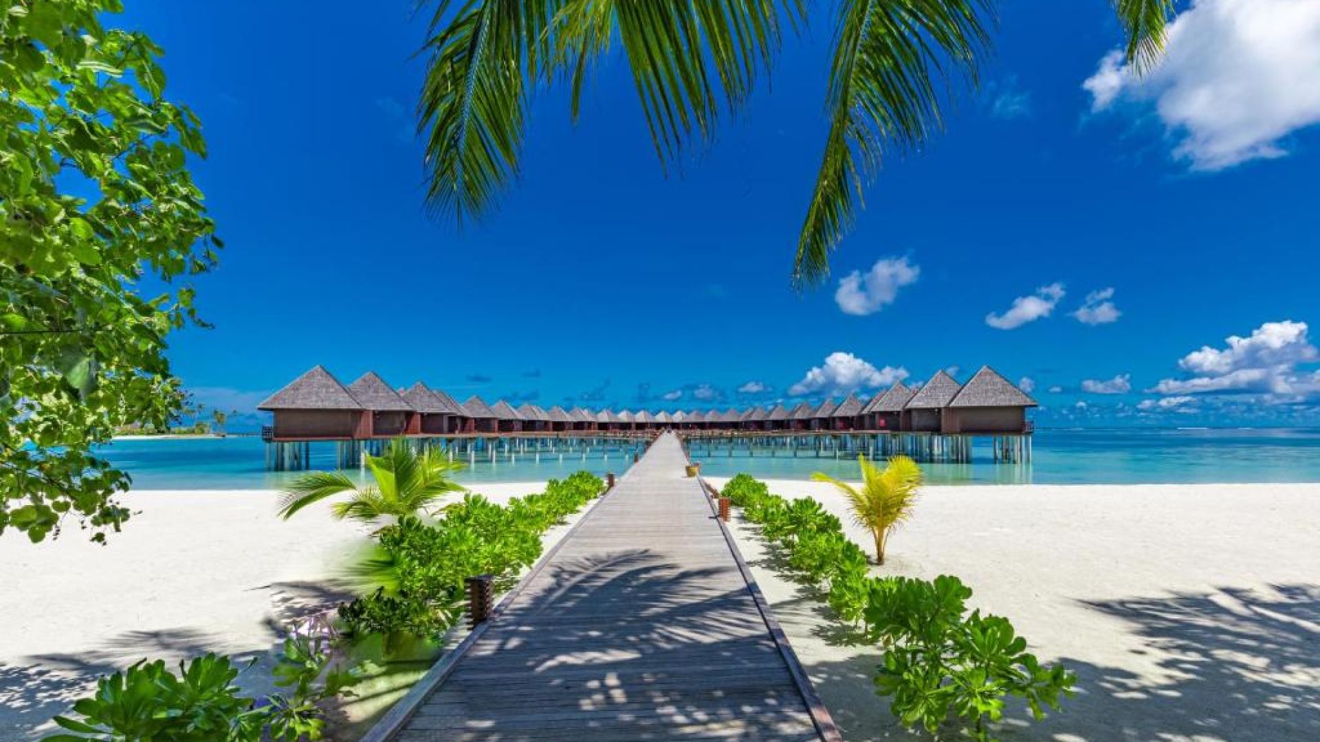 Sun Siyam Olhuveli Maldives | 15% Discount | Early Bird Offer