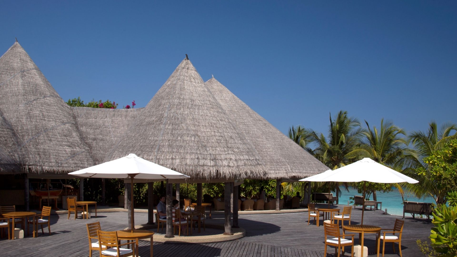 Coco Palm Dhunikolhu