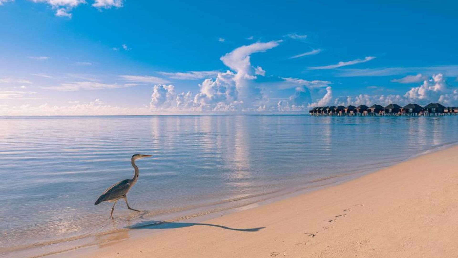 オルベリビーチ＆スパ