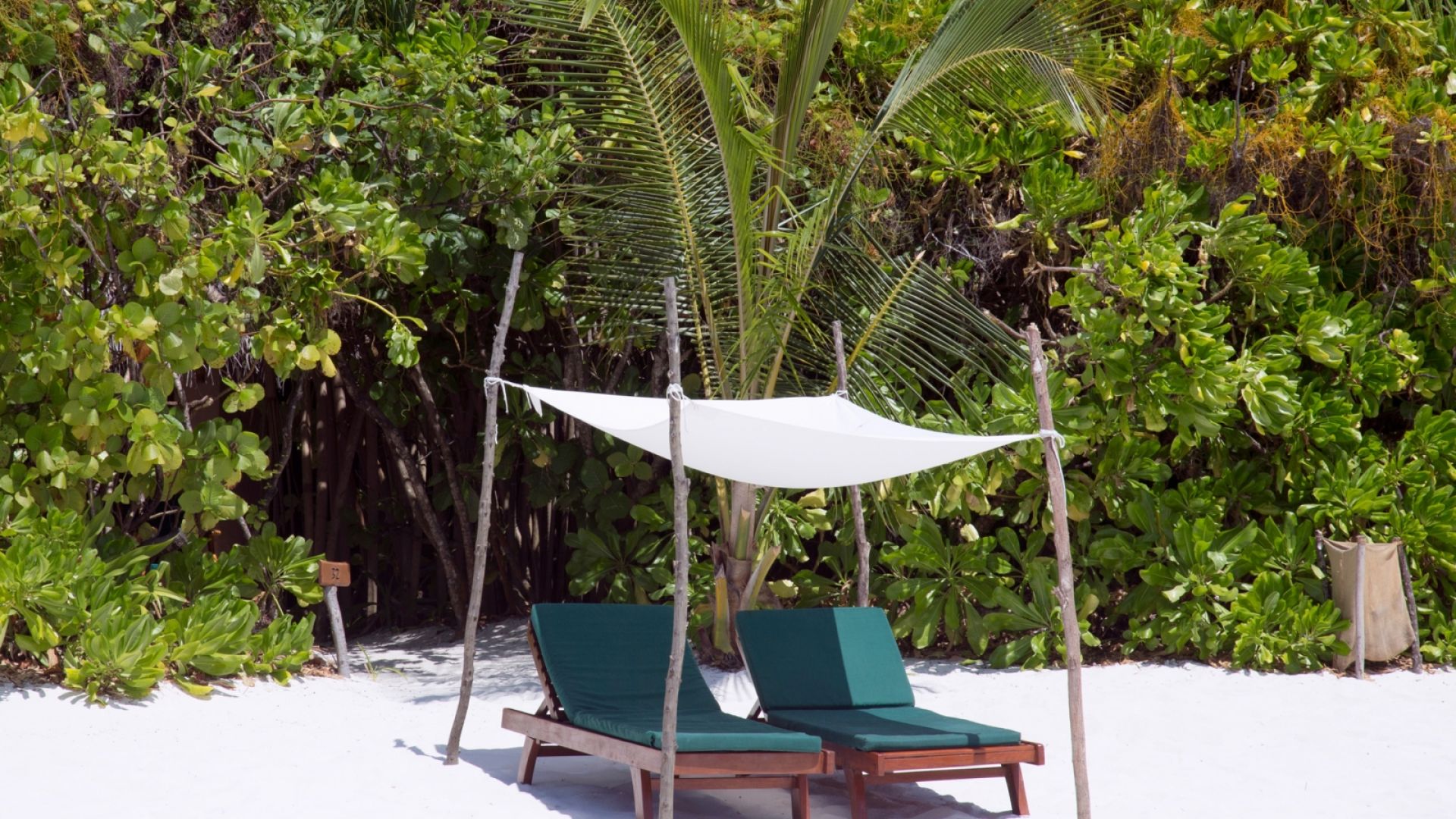 Coco Palm Dhunikolhu