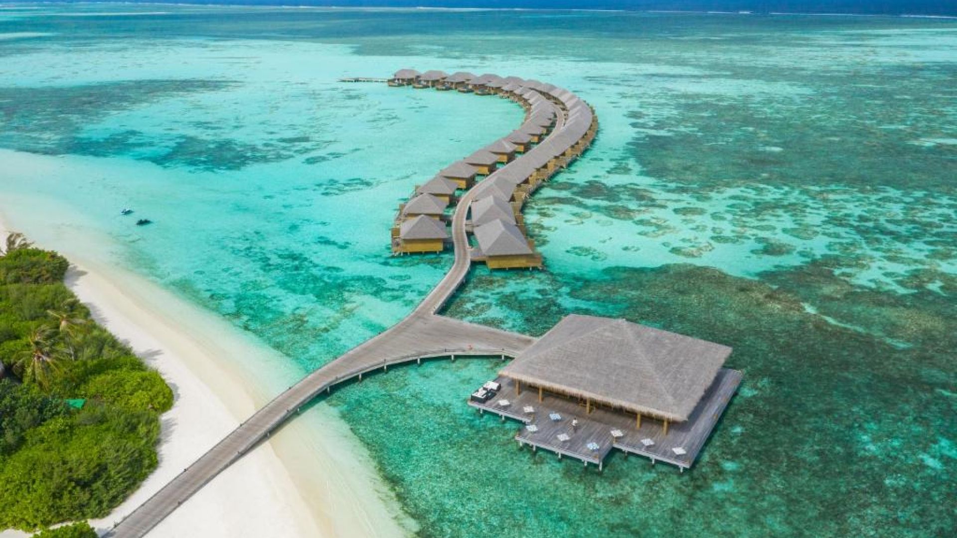 Кокон Мальдивы