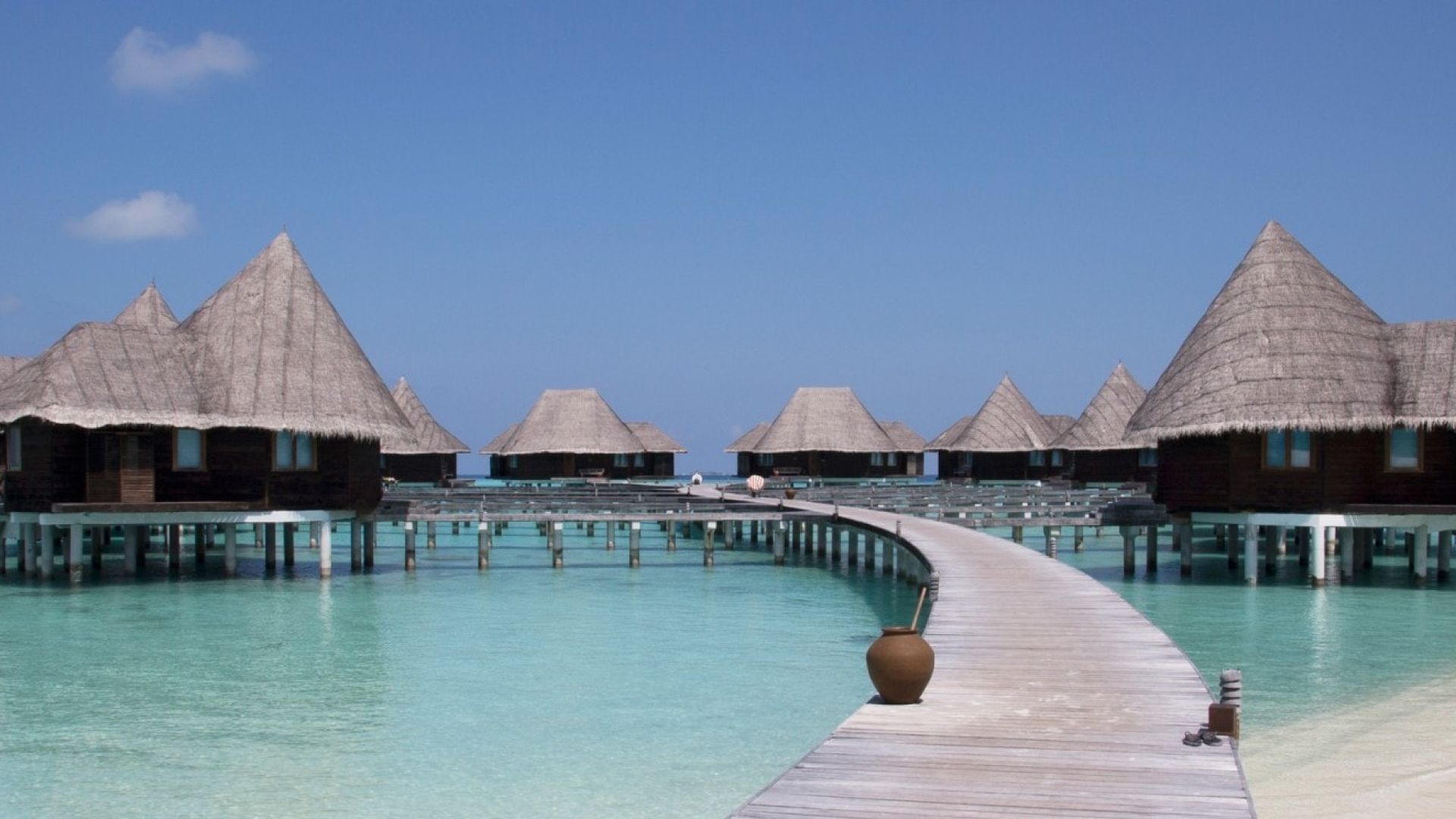 ココパームドゥニコルフ