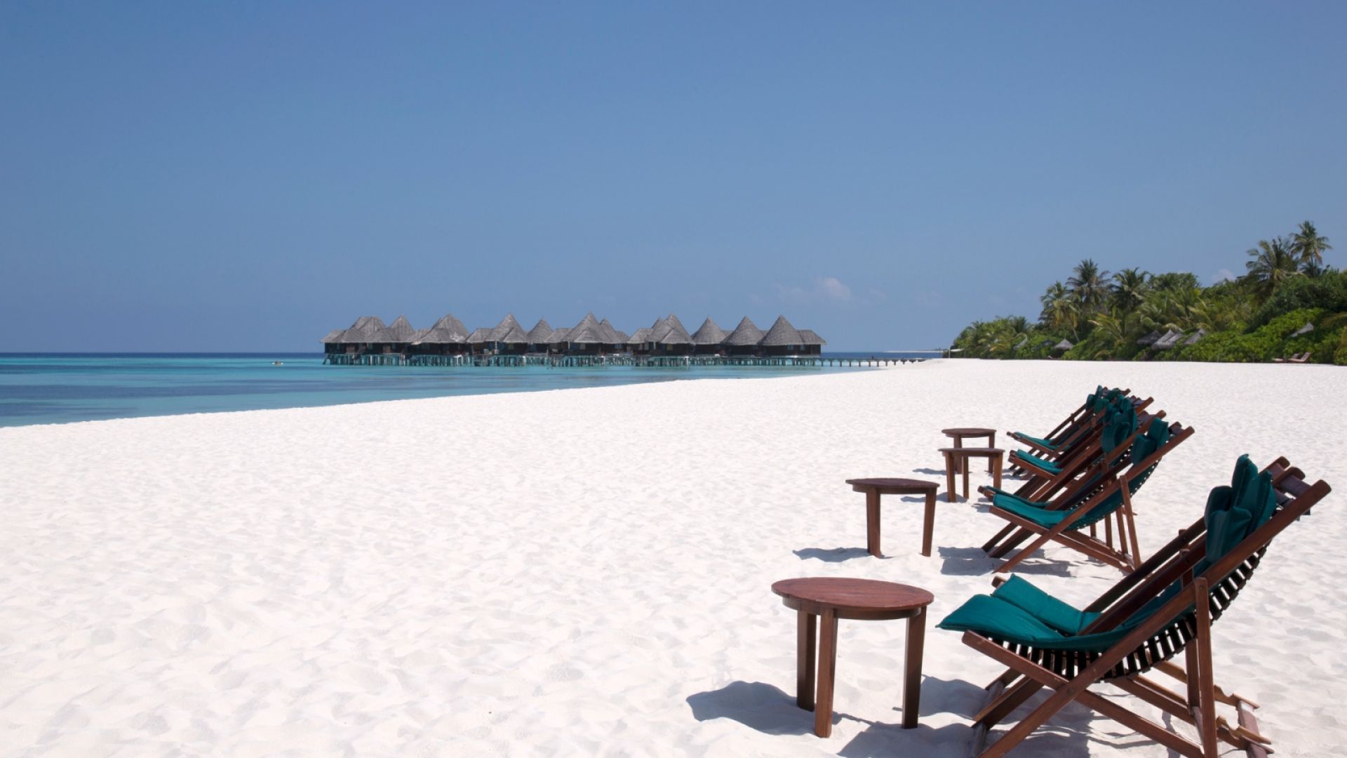 ココパームドゥニコルフ