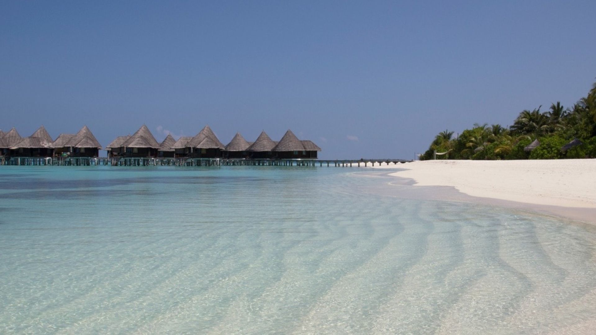 Coco Palm Dhunikolhu