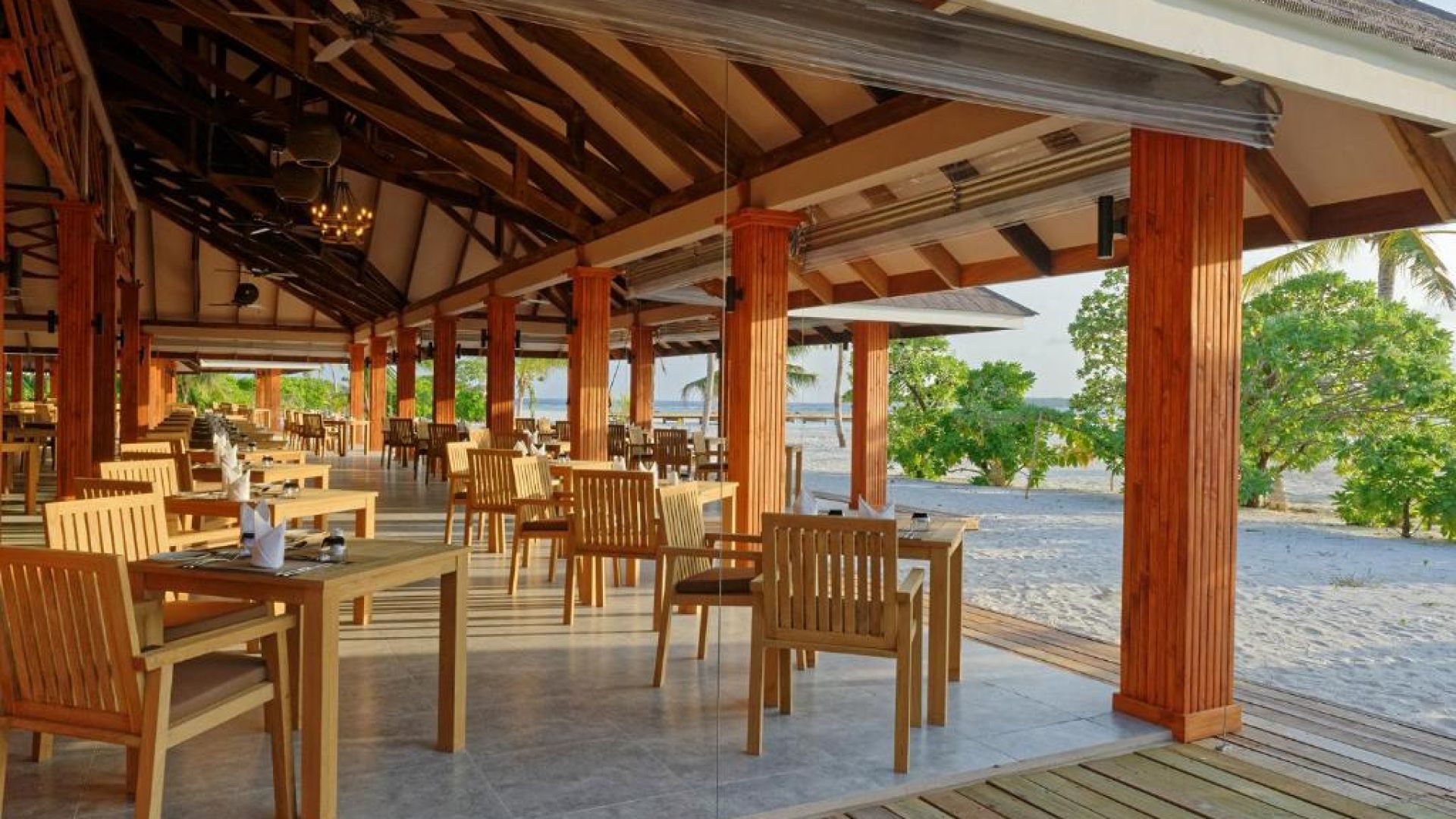 ブレニアコッテファルーモルディブ