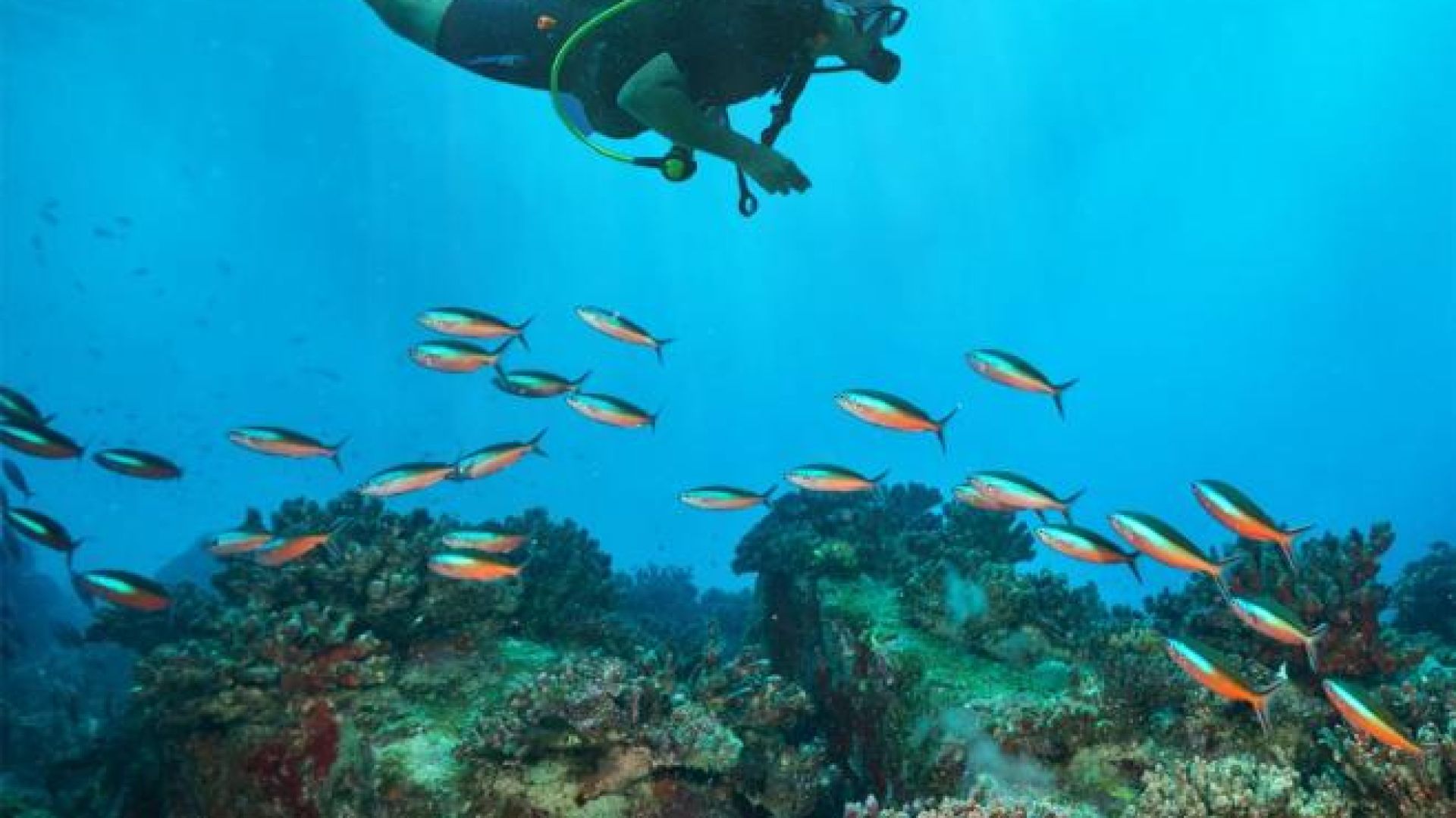 Hideaway Beach Resort & Spa