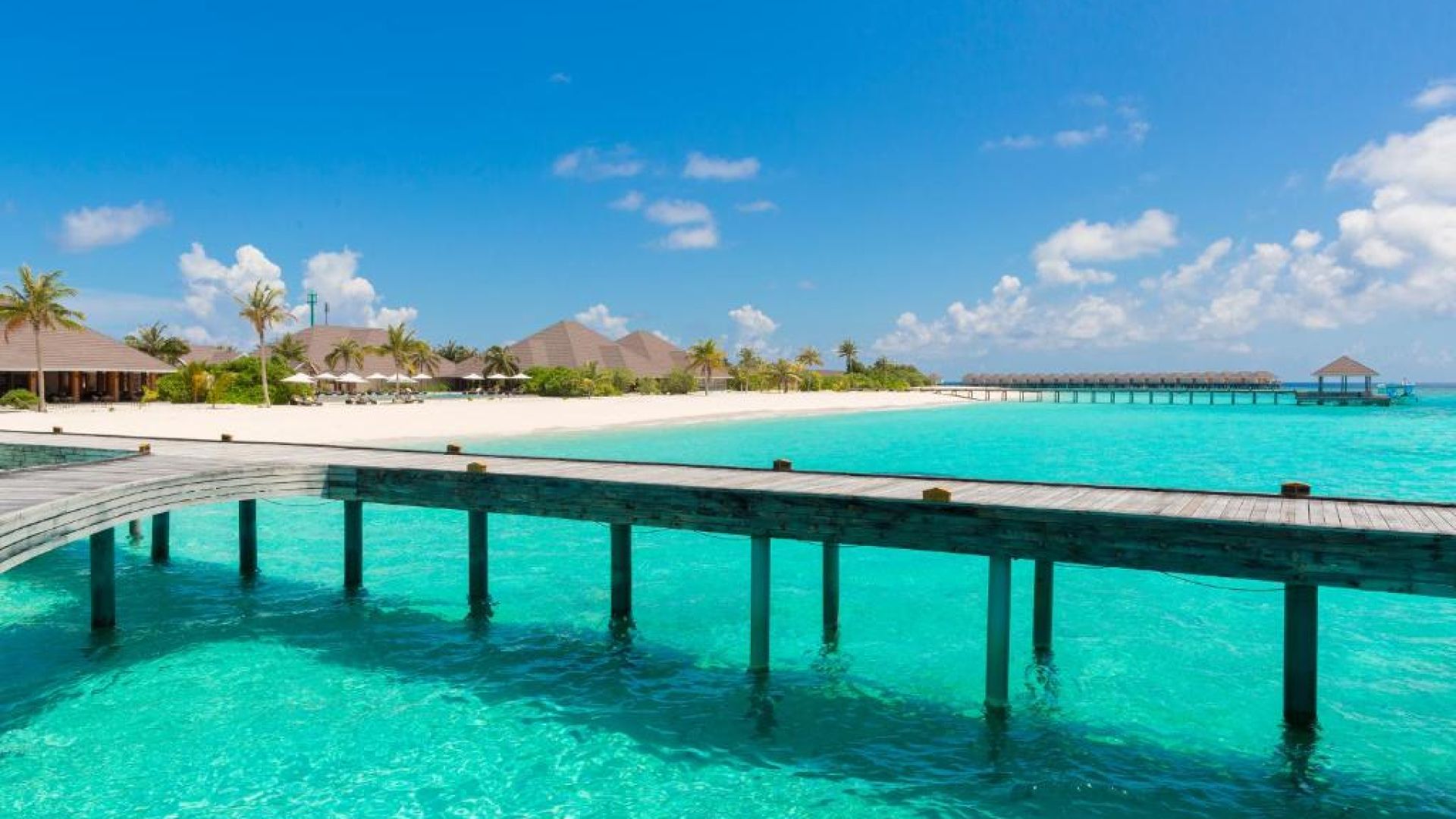 Бренния Коттефару Мальдивы