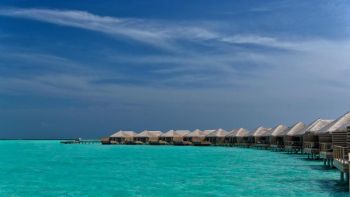 Люкс "Лагуна"