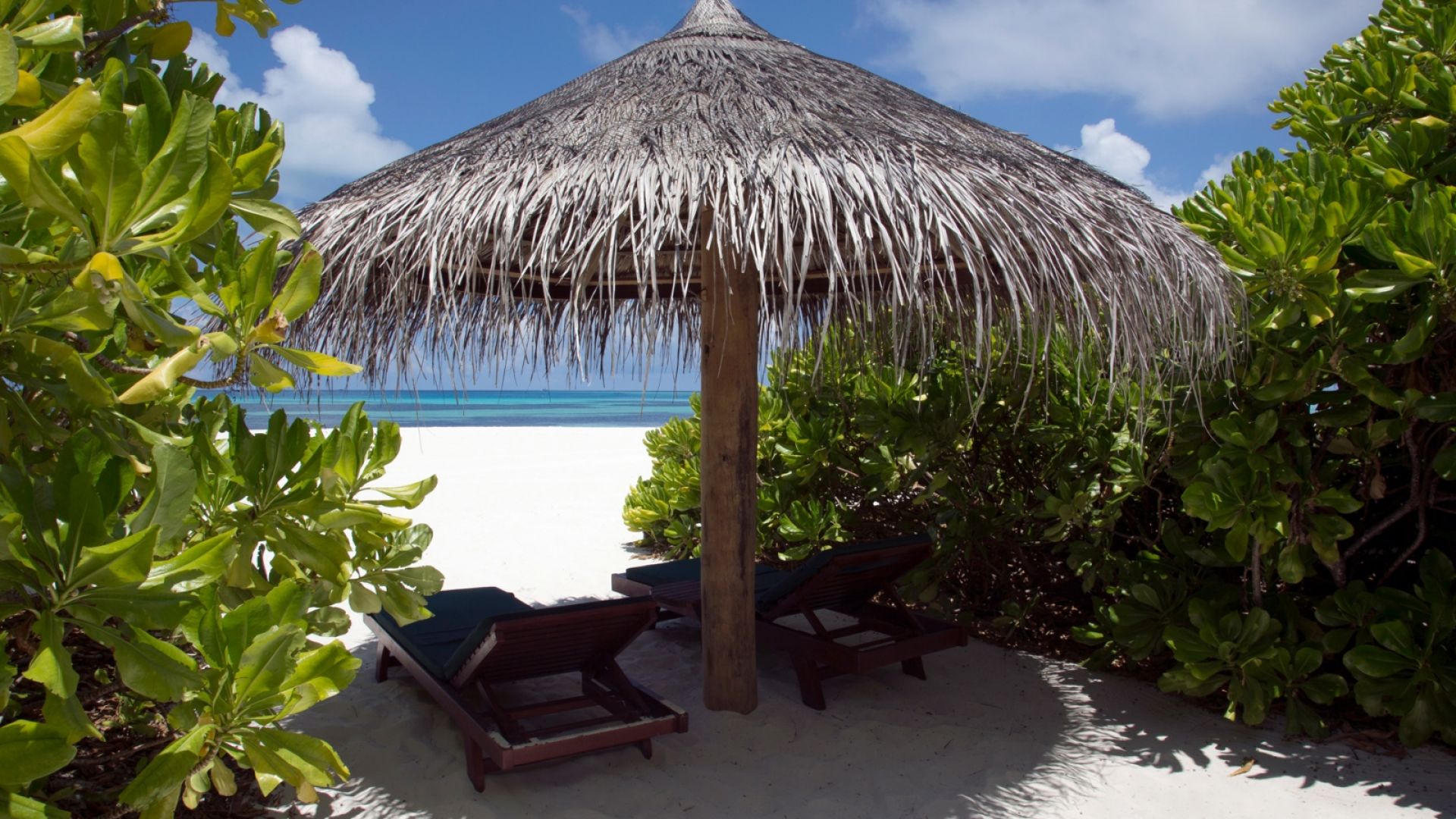 ココパームドゥニコルフ