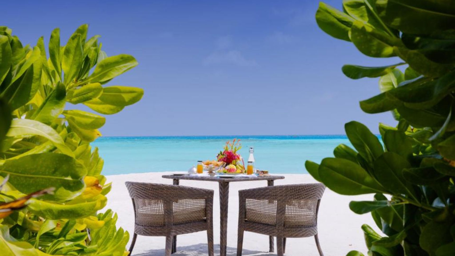 あなたと私モルディブ