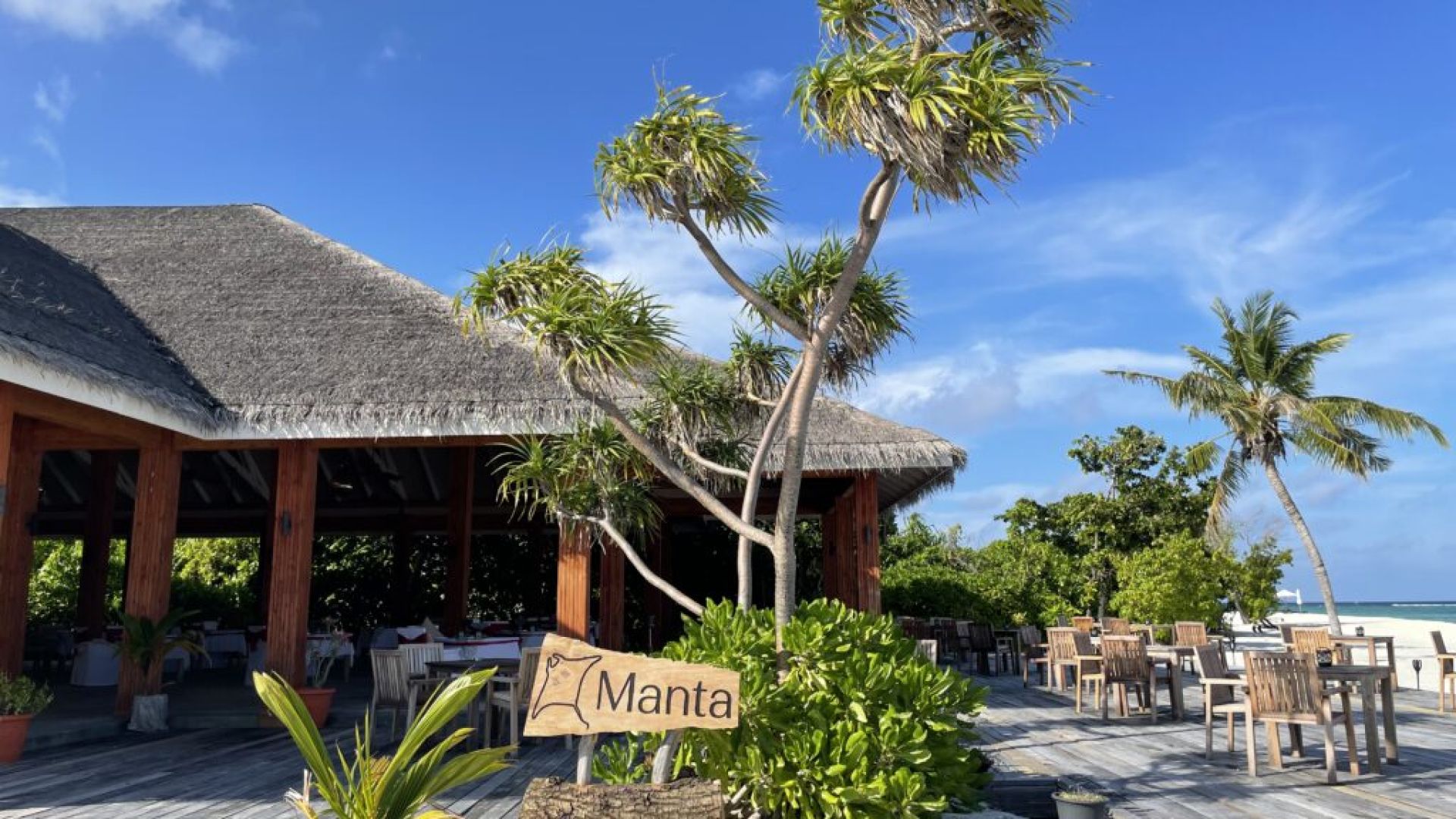 ブレニアコッテファルーモルディブ