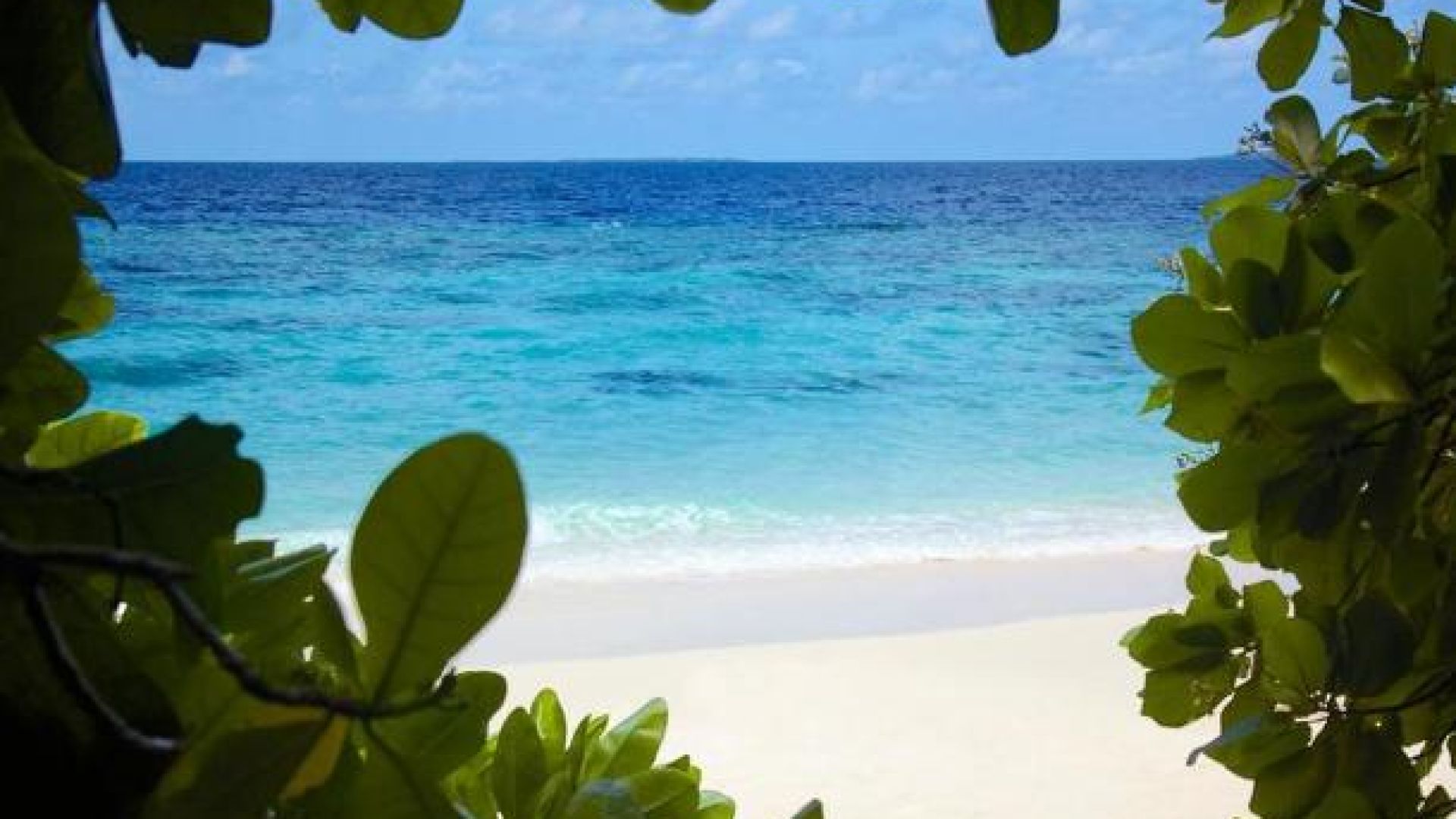 デュシタニモルディブ