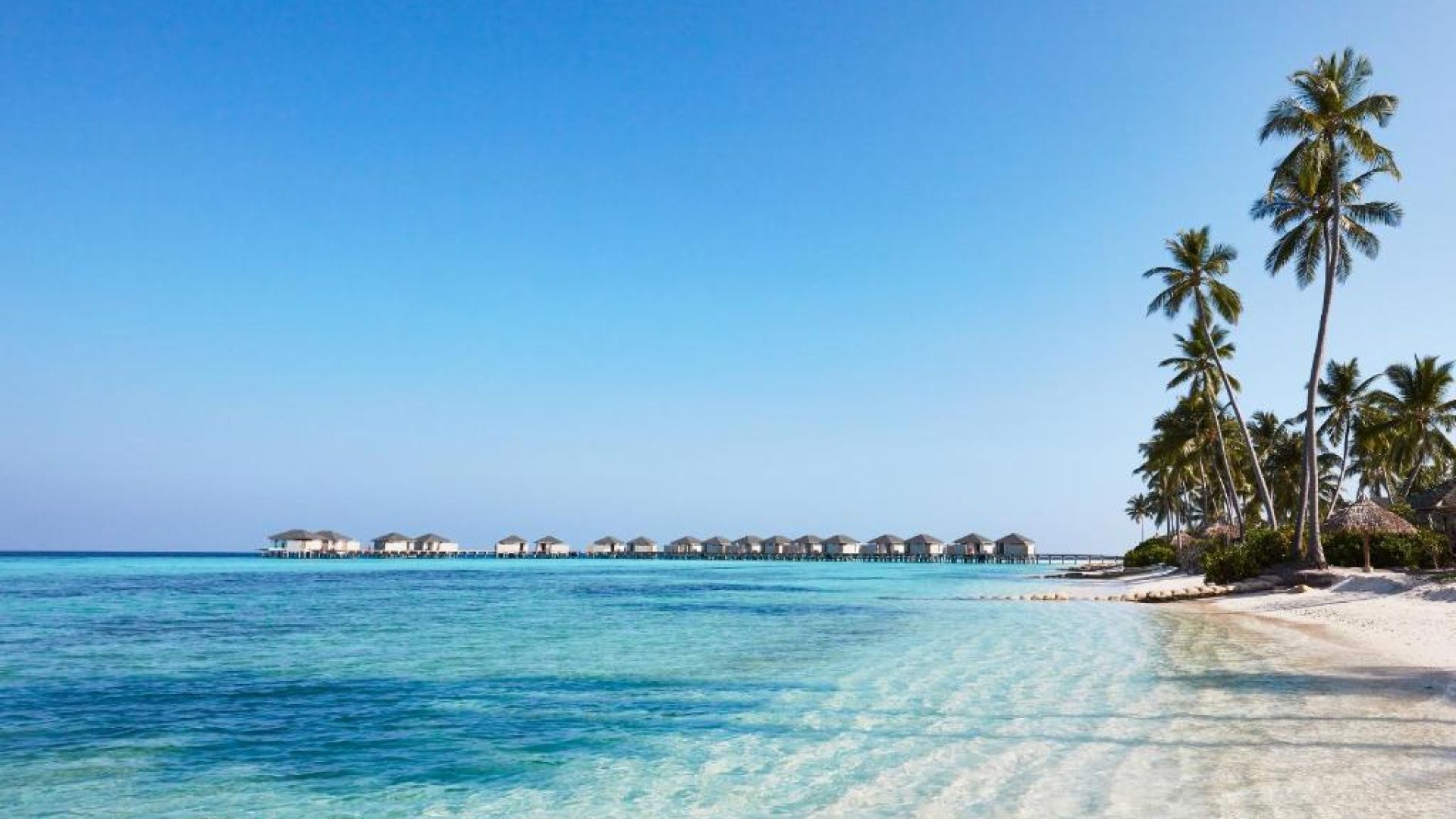 Амари Хаводда Мальдивы