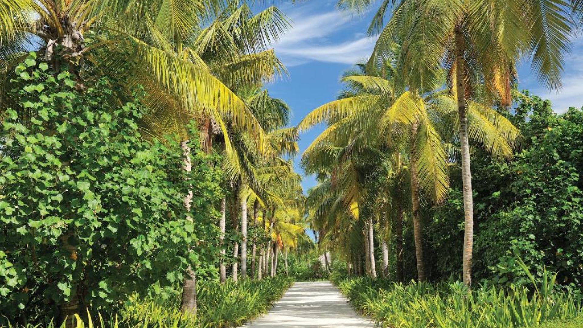 Аяда Мальдивы