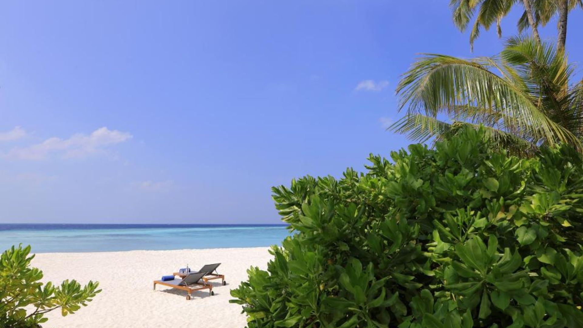 Avani+ Fares Maldives Resort